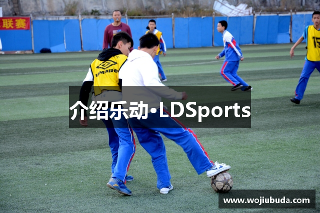 介绍乐动·LDSports